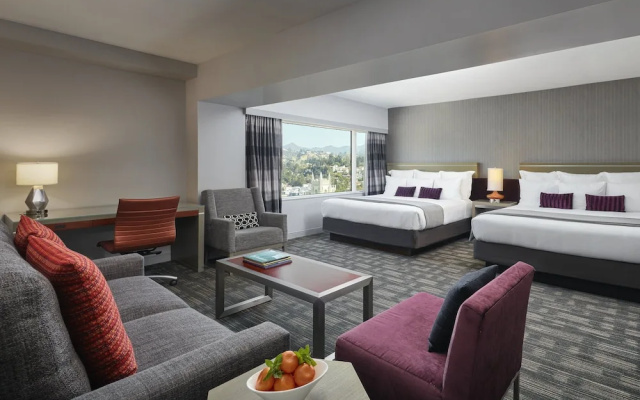 Twin Studio Suite