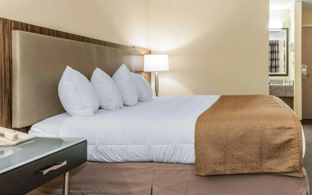 Standard Accessible Double room
