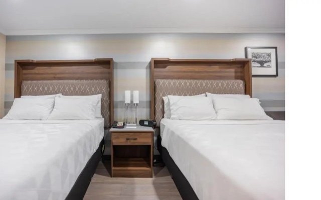 Standard No Window Twin room
