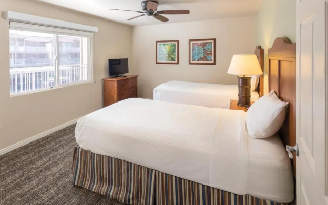 3 Bedrooms Apartment