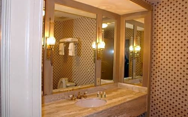 Standard Double room with river view