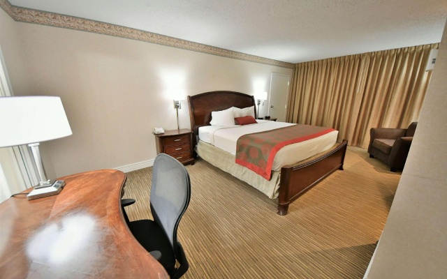 1 Bedroom Double Suite