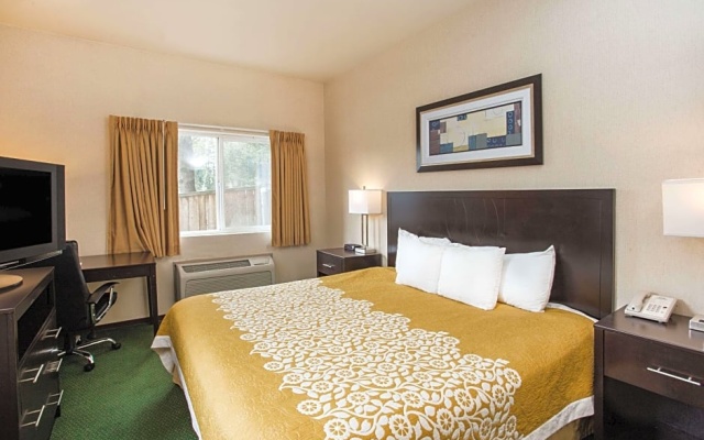 1 Bedroom Double Suite