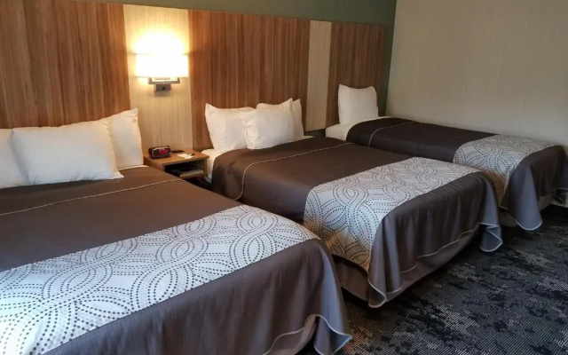 Standard Twin Family room