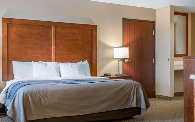 1 Bedroom Suite