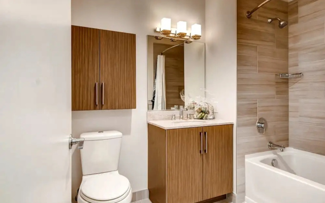 Luxury Apartment