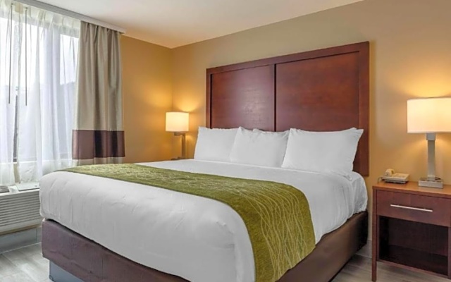 Standard room with city view