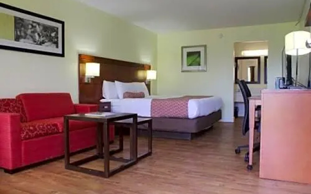 Standard Double room with pool view