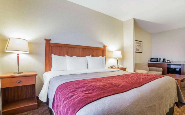 1 Bedroom Suite