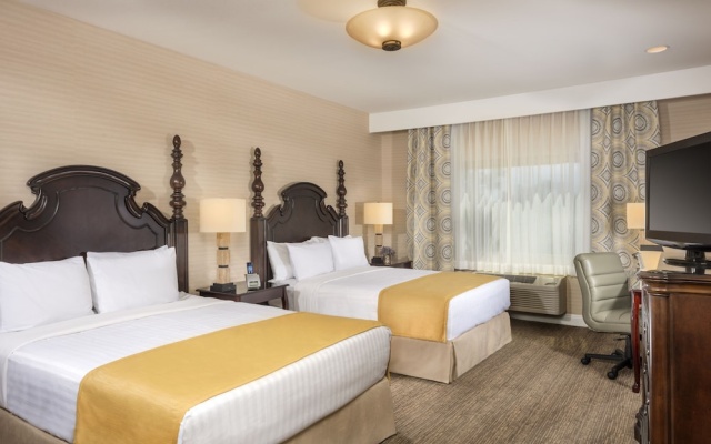 Quadruple Basement Suite