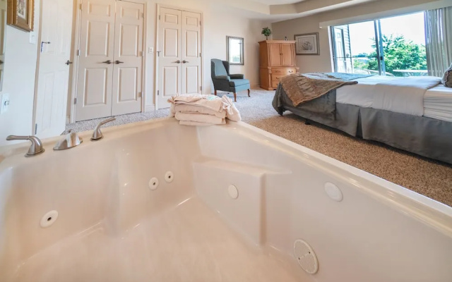 1 Bedroom Suite with view