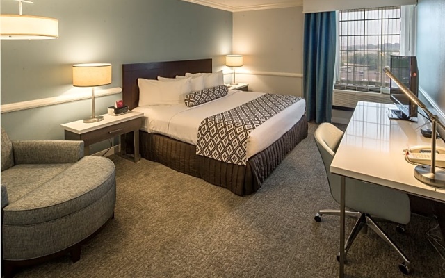Double Suite