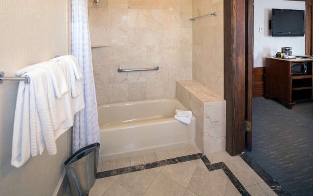 1 Bedroom Deluxe Double Suite