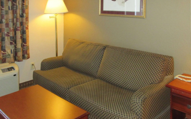 Suite