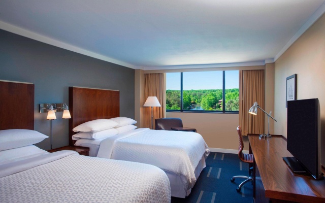 Standard Double room with lake view