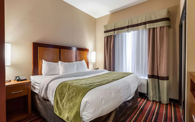 1 Bedroom Suite