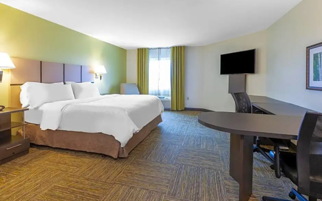 Standard Suite