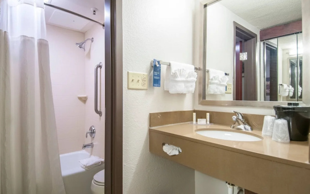 1 Bedroom Suite