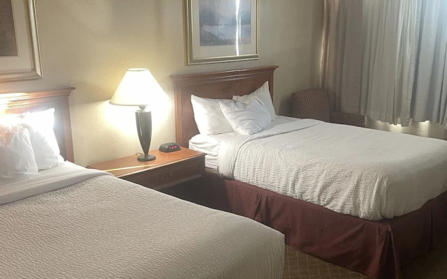 Superior Quadruple room with view