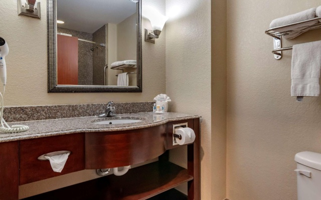 1 Bedroom Suite