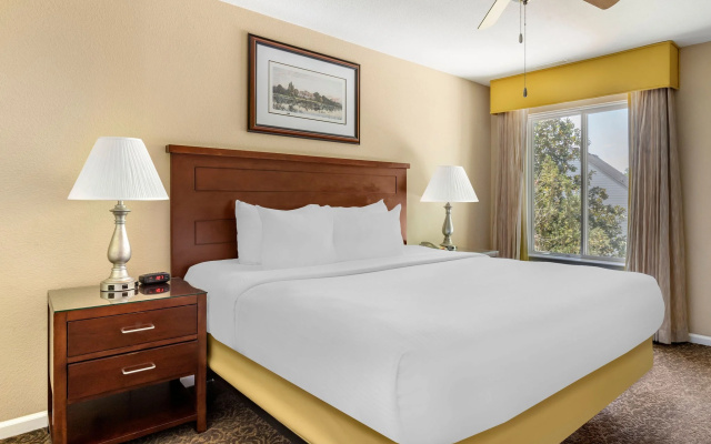 1 Bedroom Suite