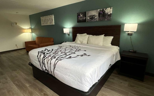 Business Suite