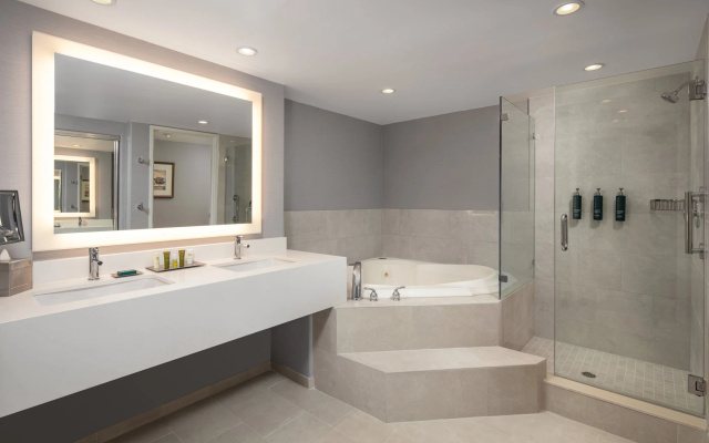 1 Bedroom Presidential Double Suite