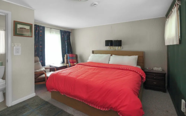 Standard Double room with mountain view
