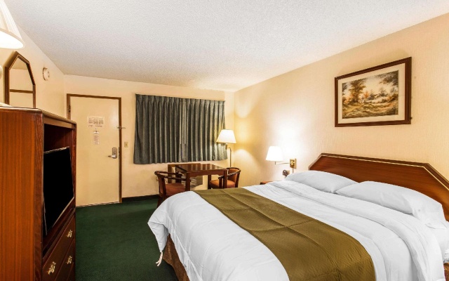 1 Bedroom Standard Double room