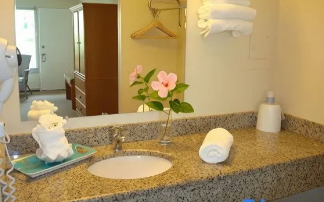 Standard room with pool view