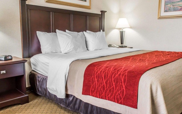 1 Bedroom Standard room