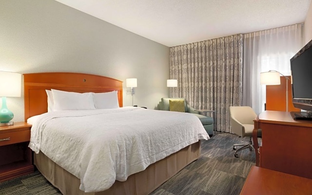 Premium Quadruple room