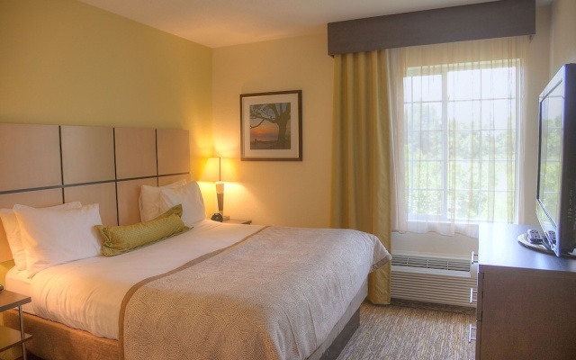 1 Bedroom Suite