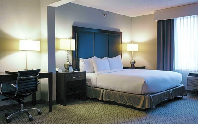 Standard Suite