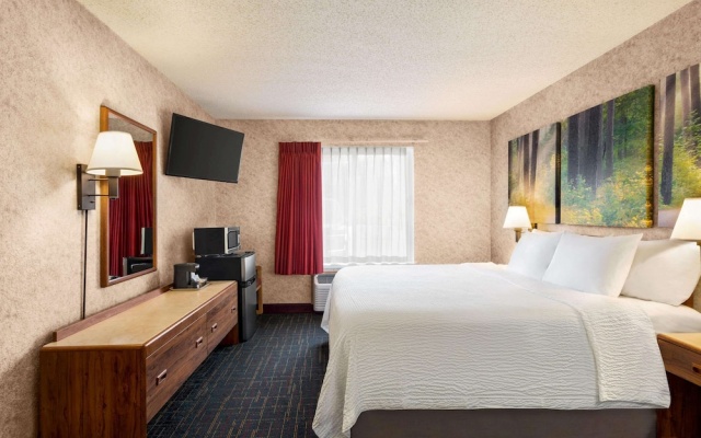 Double Studio Suite