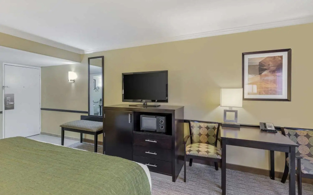 Standard Double room with pool view