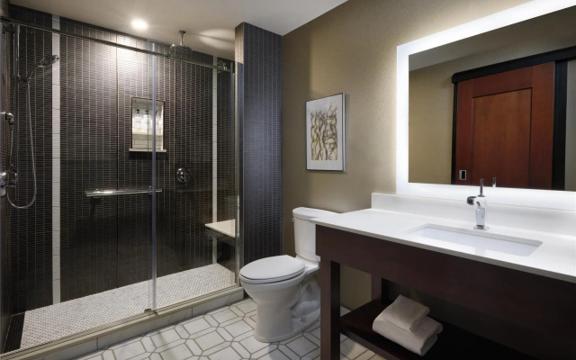 Executive Double Suite with city view