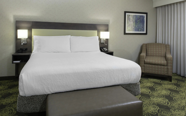 1 Bedroom Suite with balcony