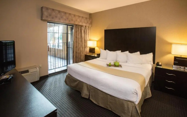 Twin Suite