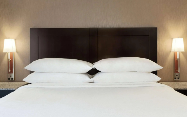 Mobility/Hearing Accessible Double Suite