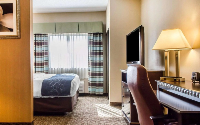 1 Bedroom Suite