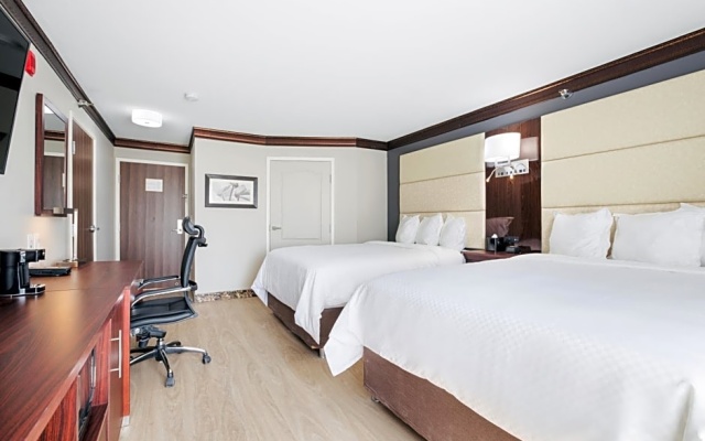 Quadruple Suite