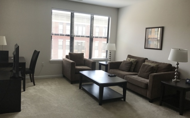 Deluxe Apartment