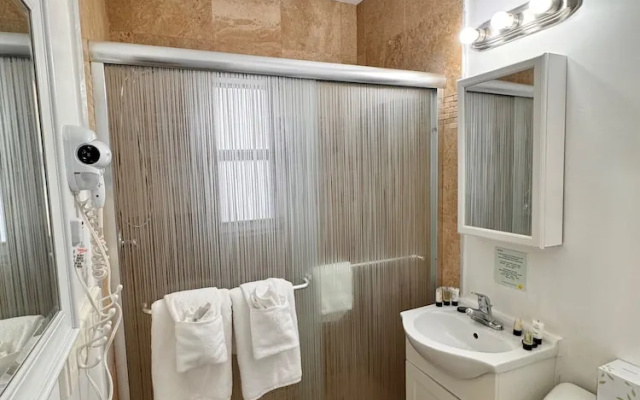 Deluxe Double Suite with view