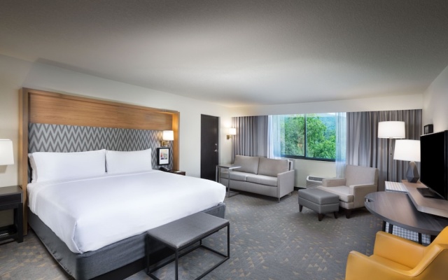 Double Suite with mountain view