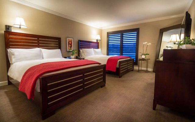 Twin Suite