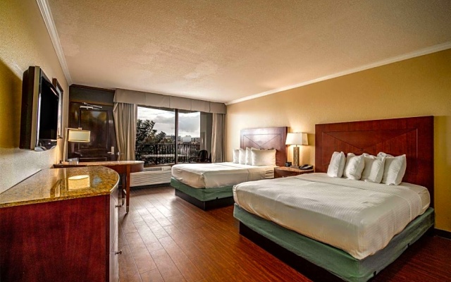 Standard Quadruple Basement room