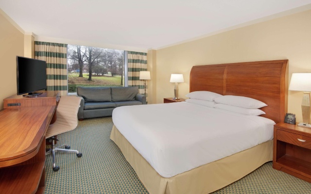 1 Bedroom Premium Double Suite