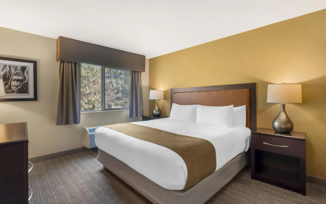 1 Bedroom Double Suite with balcony
