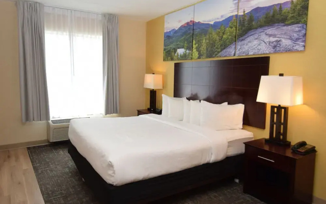Standard Double Suite